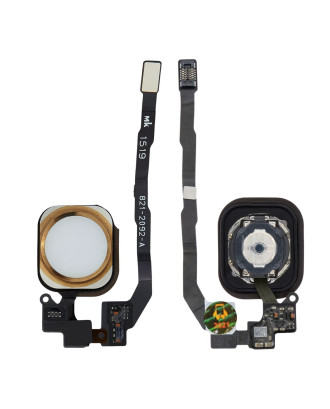 Bot&atilde;o home in&iacute;cio compat&iacute;vel com iPhone 5S e SE dourado